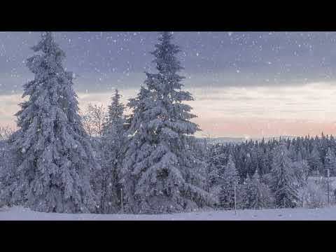 Małgorzata Szarek Cicha Noc