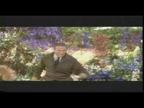 What Dreams May Come (1998) trailer (Para Além do Horizonte)