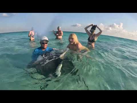 Stingray Kiss - Stingray City