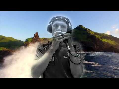 Dubharp - Raggattack X Irie Nanara - Medicine