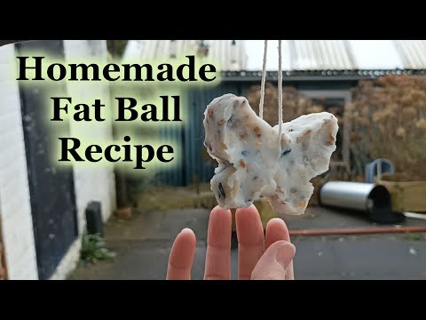 How to make fat balls that attract birds to your garden | UK Gardening