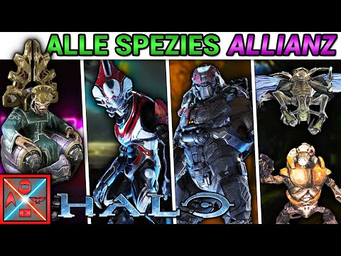 All species of the Alliance from Halo presented - HALO explained
