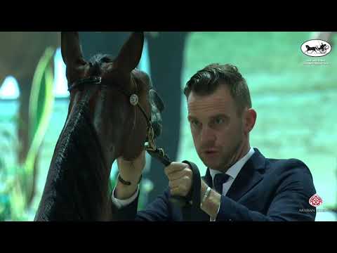 UAE National Championship 2021  Class YFC