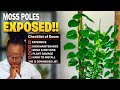 Moss Poles Are A BAD Idea: The Ugly Truth REVEALED