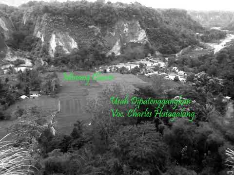 Lagu Minang Oldies -  Usah Dipatenggangkan - Vokal Charles Hutagalung