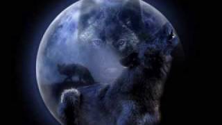 Bài hát Lâu Đài Sói - Nghệ sĩ trình bày Black Wolf/ Sói Đen