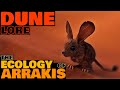 The Ecology Of Arrakis Flora Fauna Dune Lore