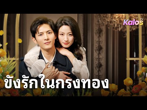 เพื่อแก้แค้นสามีผู้สูญเสียความทรงจำฉันโกหกเขาว่า เป็นคนรักของฉัน