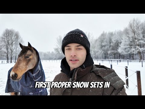 How We Prepared Our Horse Property for the First Snow of the Season
