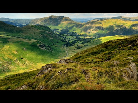 Tales of The Hunger Games: The 95th games (The Fourth Quinquennial Quell) - Part Two