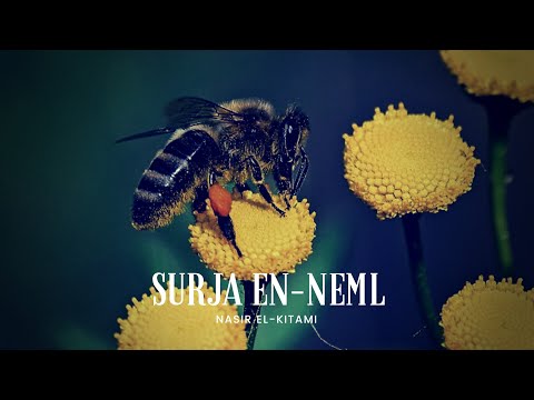 MADHËSHTORE | Surja En-Neml - | Nasir el-Kitami