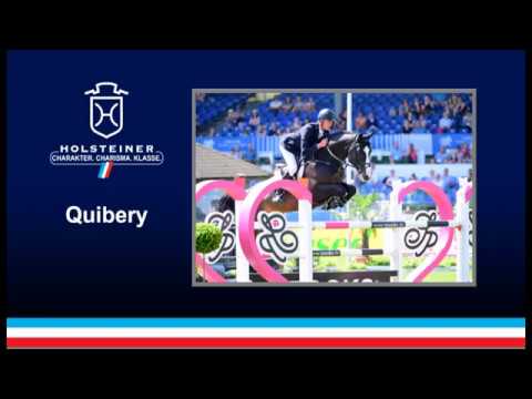 Holsteiner Verbandshengste 2019 - Quibery