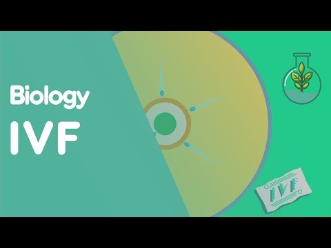 Fertility: The Complex Dance of Reproduction | Golden Age