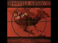 Hostile Groove Fly Routine 