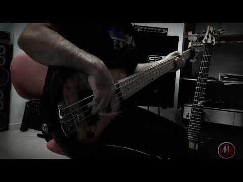 This love  (Maroon 5) Bass cover