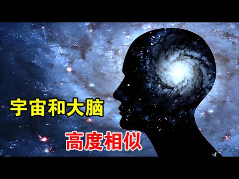 马斯克放出狂言：普通人熟知的世界，其实都是模拟出来的【宇宙观察】