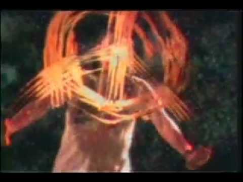 Não Vão Me Matar - O Rappa