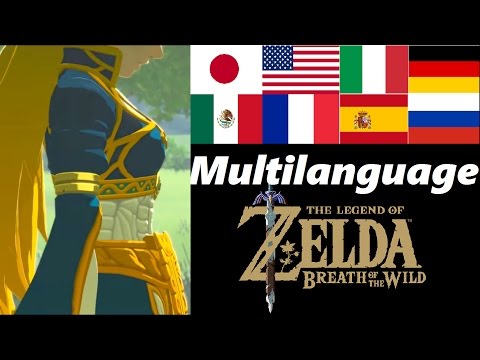 Subdued Ceremony Multilanguage | Memory 1 | Zelda Breath of the Wild