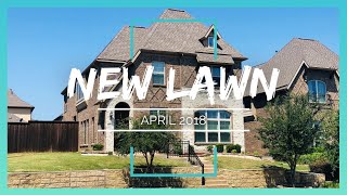 New Lawn Project - April 2018