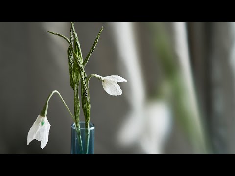 Delightful paper snowdrops - DIY by Søstrene Grene