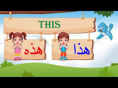 Arabic Grammar: Masculine and feminine- المذكر والمؤنث