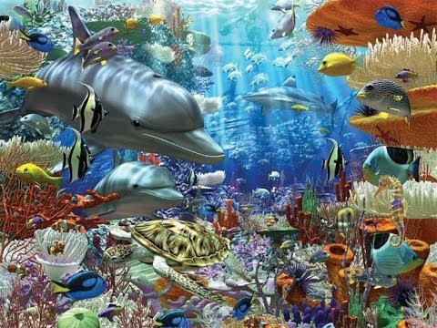 Encountering Sea Monsters