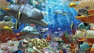 Ocean Wonders Encountering sea monsters HD 1080p