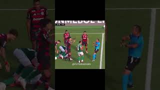Flamengo 1 x 0 Palmeiras