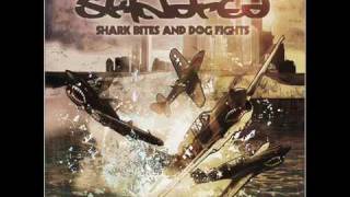 STAND FOR SOMETHING BY SKINDRED