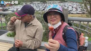 【桃園大溪景點】大溪老街