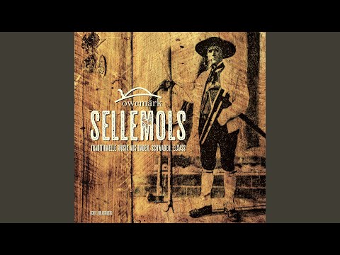 Es steht eine Mühle im Schwarzwälder Tal