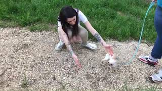 La primavera i primi amori l’amore per tutto