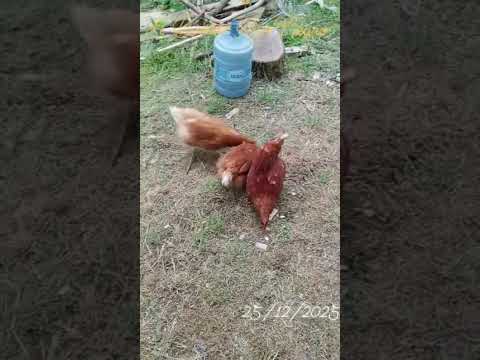 #El #Bolson Rio negro argentina