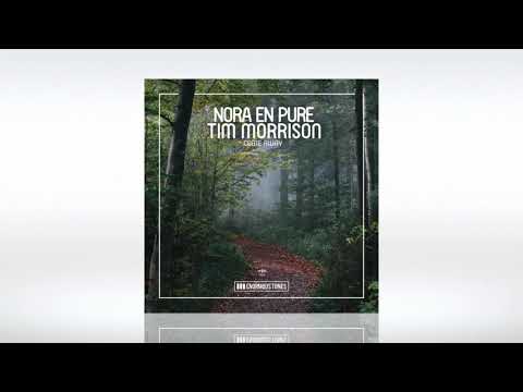 Track of the Day (26/10/2020) ~ Nora En Pure ft. Tim Morrison - Come Away (Extended Mix)