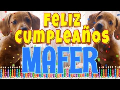 ¡Feliz Cumpleaños Mafer! (Perros hablando gracioso) ¡Muchas Felicidades Mafer!