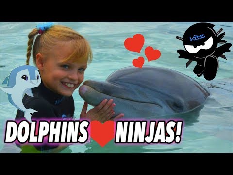 We Played and Swam with Dolphins (Bahamas) II Ninja Kidz TV