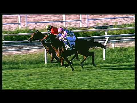 Galoppo 19/08/2020 - 1ª corsa