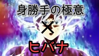 【MAD】身勝手の極意シーン×ヒバナ