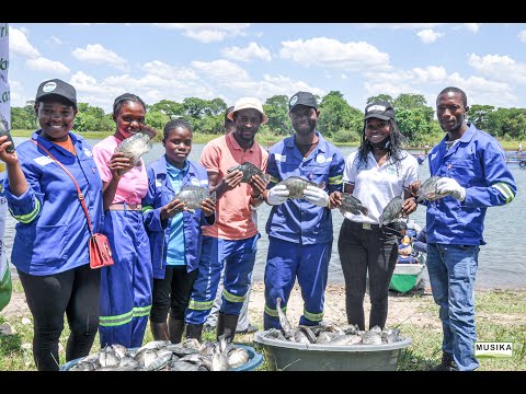 Tackling the scourge of malnutrition among rural poor in Zambia