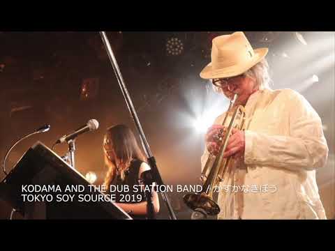KODAMA AND THE DUB STATION BAND / かすかなきぼう