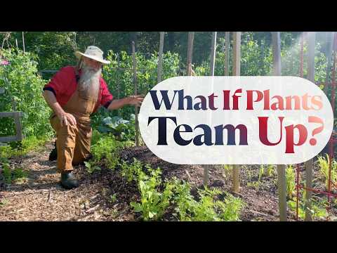 Exploring Plant Partnerships: The Science of Companion Planting