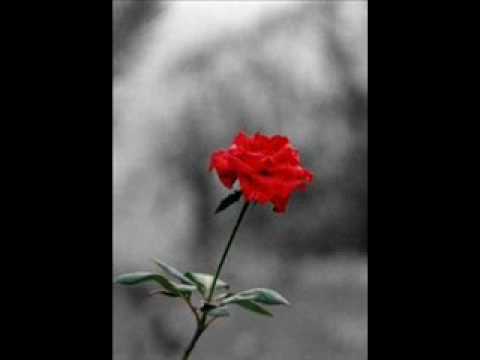 Mebrouk hobbak ljdid _-_ ahMed - HoussAiny .