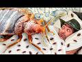 Bitten By Blood Thirsty Bed Bugs
