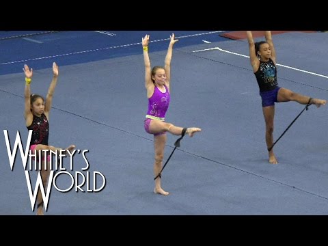 Resistance Training | Whitney Bjerken