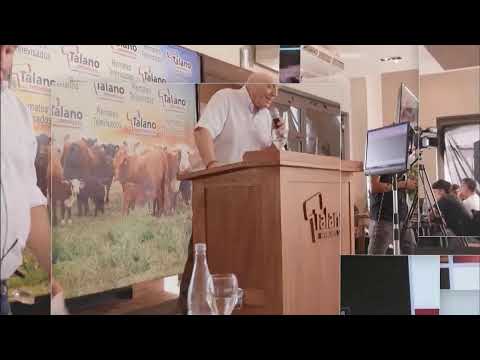 TALANO HERMANOS S.R.L - REMATE -22-10-2021 - CABAÑA LA EUGE