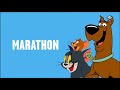 Boomerang UK Ads Continuity 27th May 2018