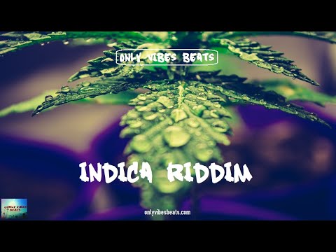 [SOLD] Indica Riddim - Reggae Beat Instrumental 2021 - Only Vibes Beats