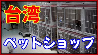 台湾のペットショップってどうなってるの？【2025年調べ】