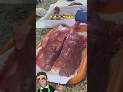 Lung impresses students in anatomy class #medicine #anatomy #science #health