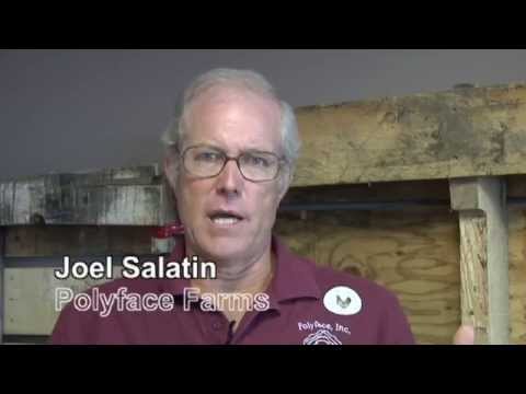 Joel  Salatin: Synergy between Nature, Science and Technology